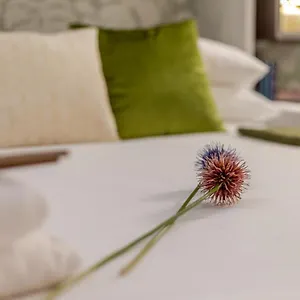 book here